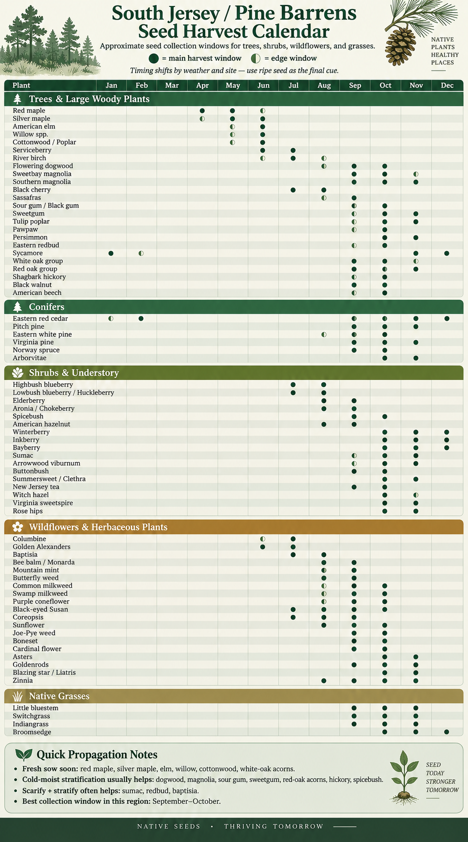 South Jersey and Pine Barrens seed harvest calendar showing collection months for trees, shrubs, wildflowers, and native grasses