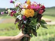 Cut flowers catalog photograph